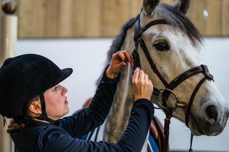 Équitation : cuir ou synthétique ? 