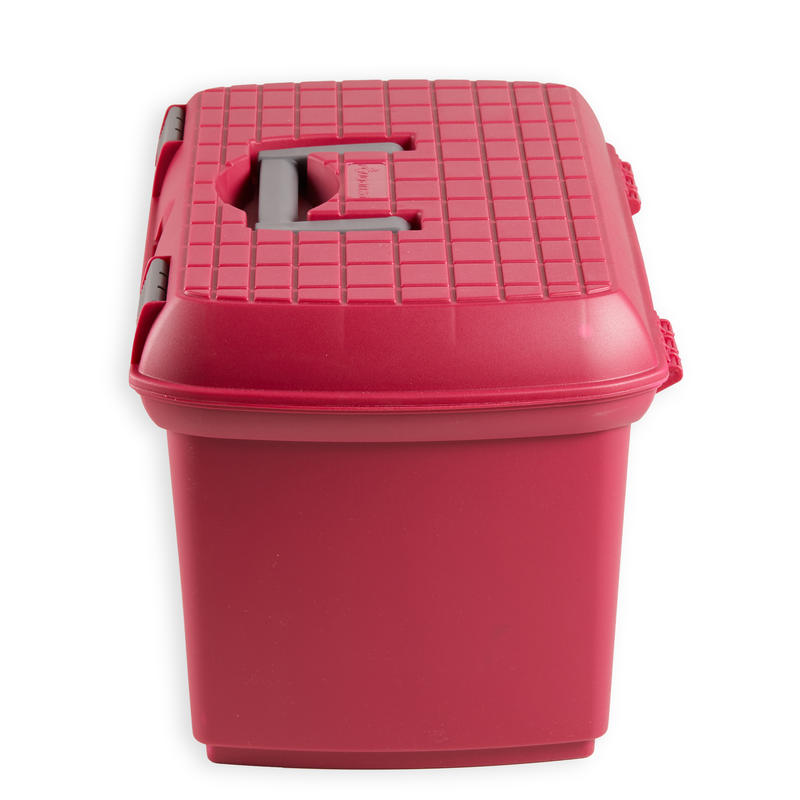 Horse Riding Grooming Box 500 Raspberry / Grey