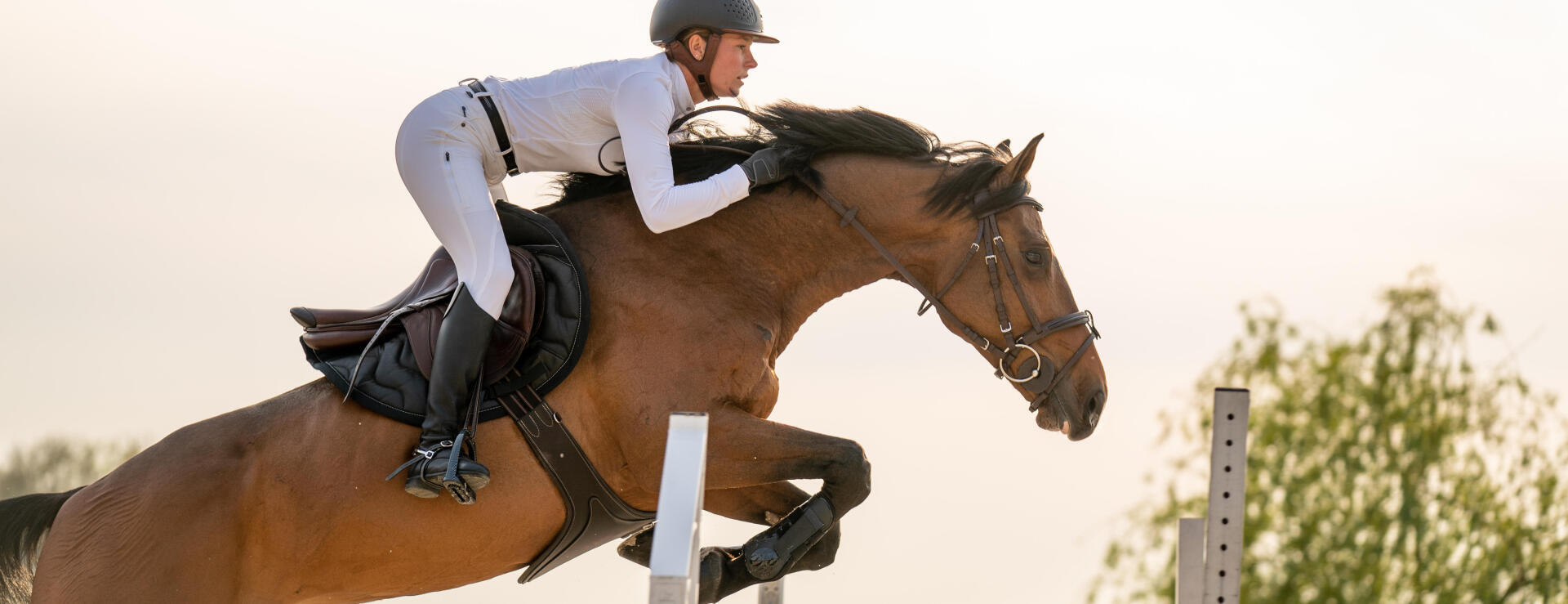 Equitation concours : bien choisir son matériel !