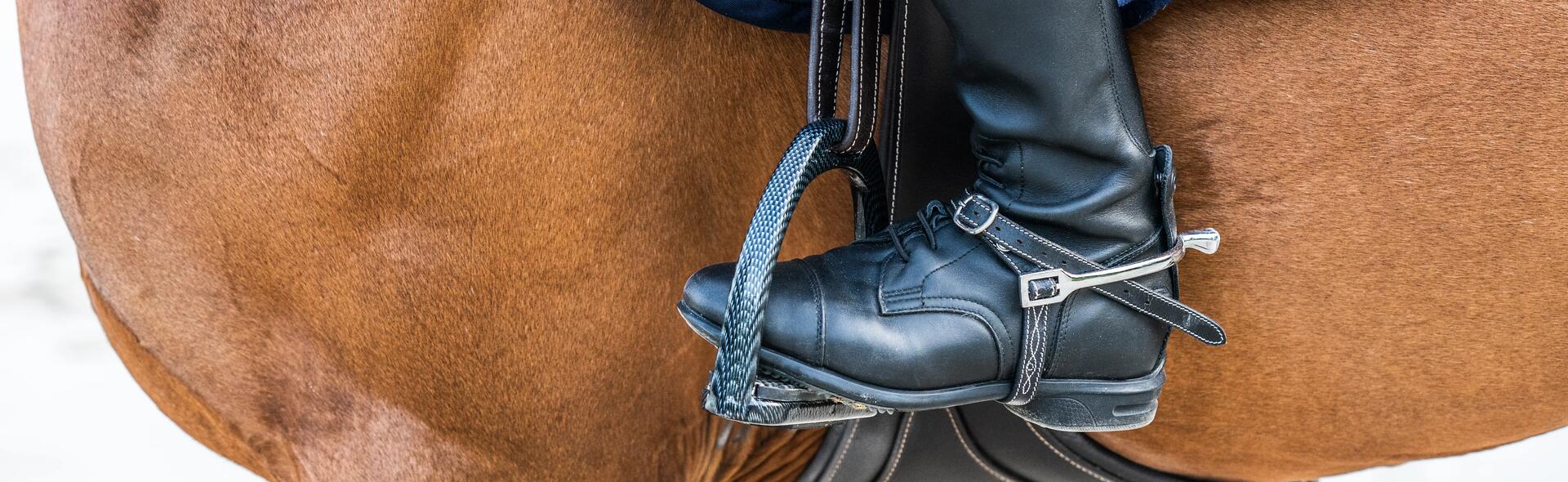 cc bottes d'équitation