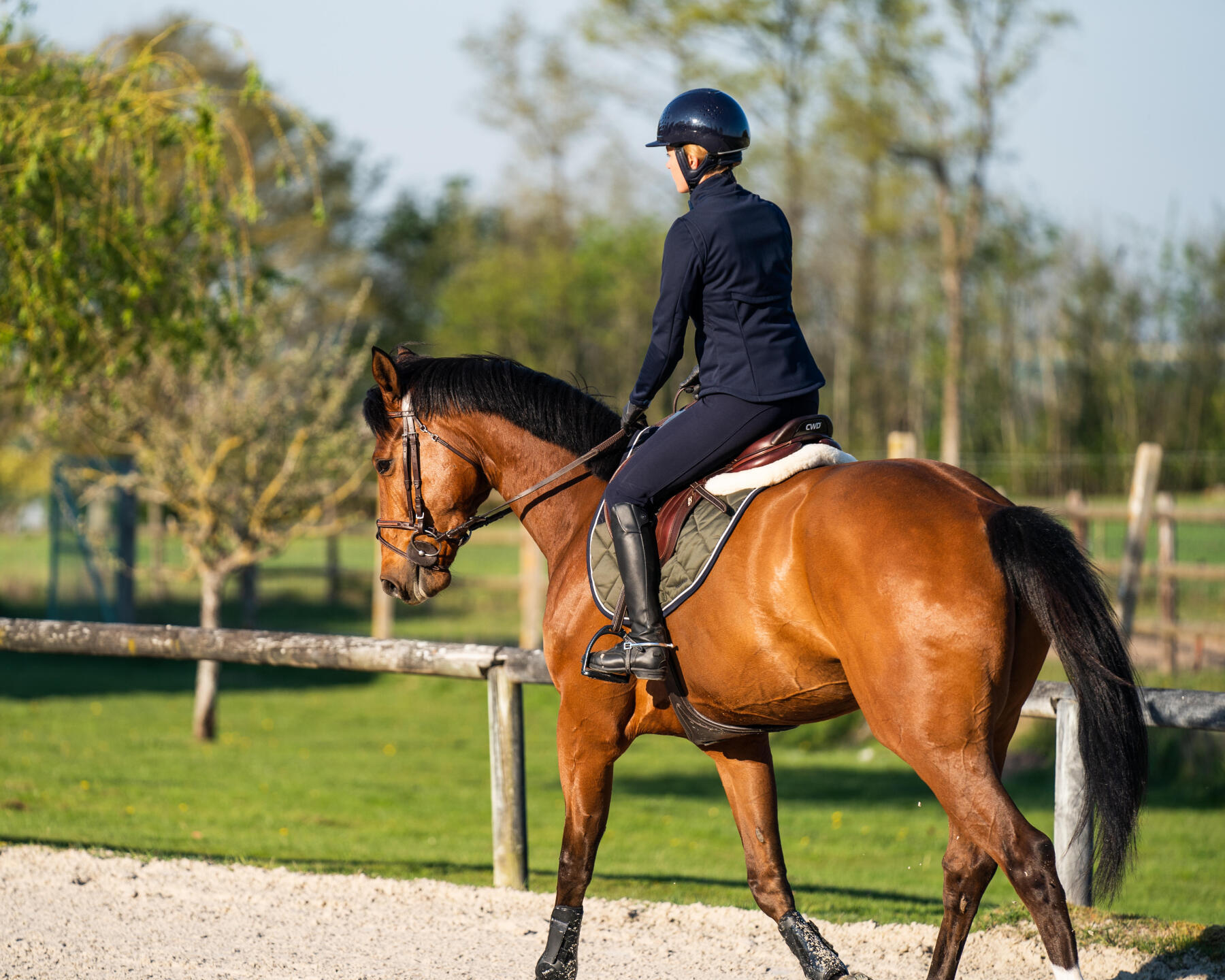 Cavalière et son cheval en train de faire une séance montée, au pas