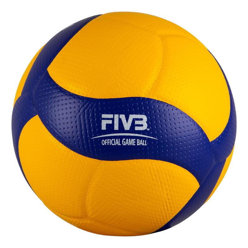 Volleyball V200W DVV