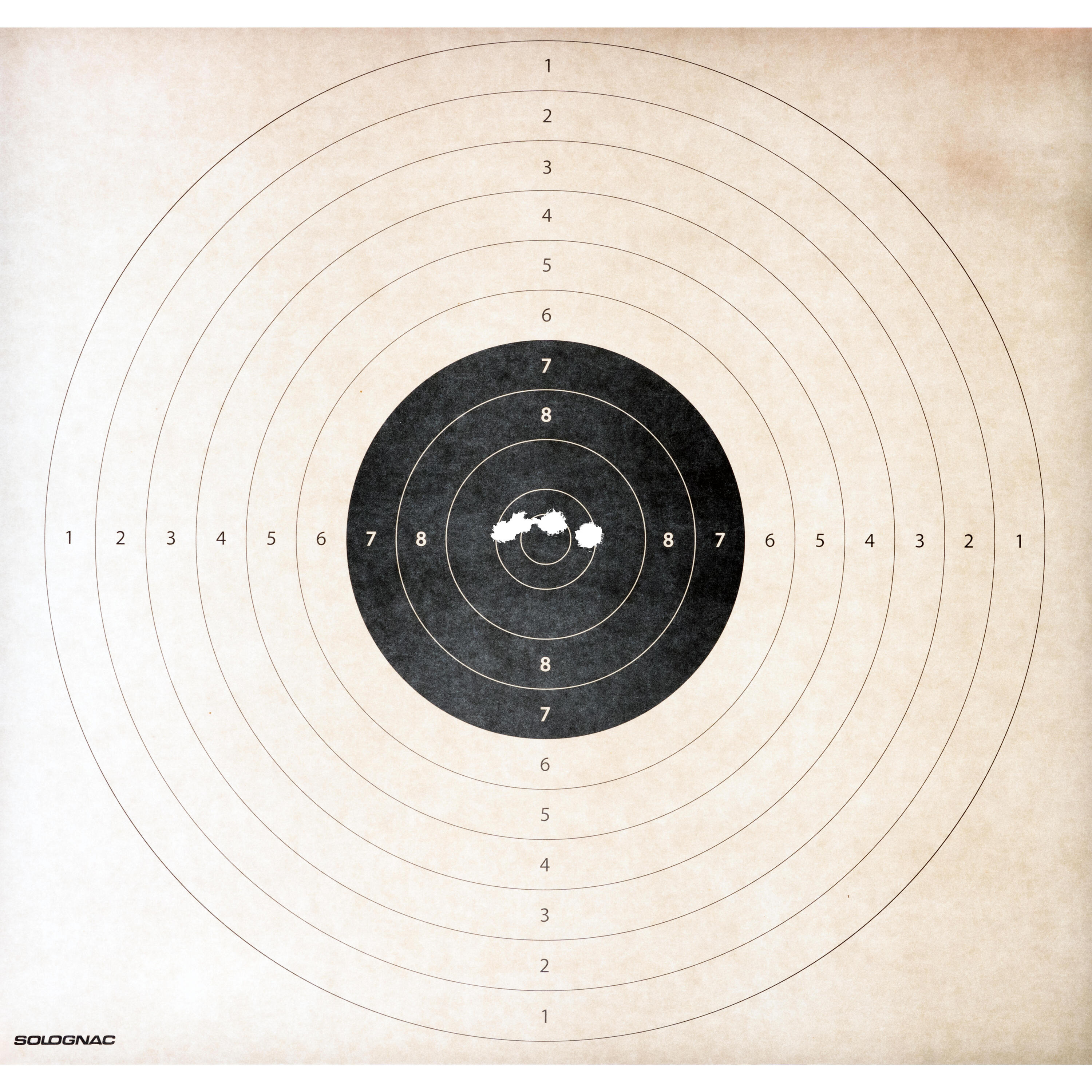 BALLE SANS PLOMB SPEED CALIBRE 12 X 5 5/5