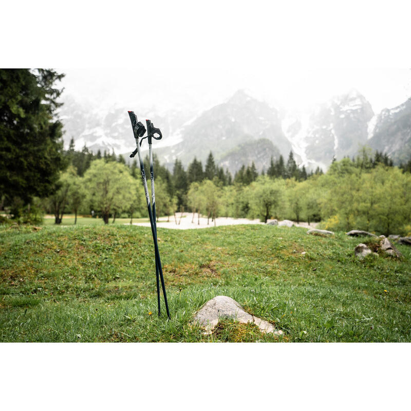 Kije do nordic walking Newfeel P500