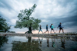 marche-nordique marche-nordique