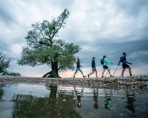 reprendre sport après coupure la marche