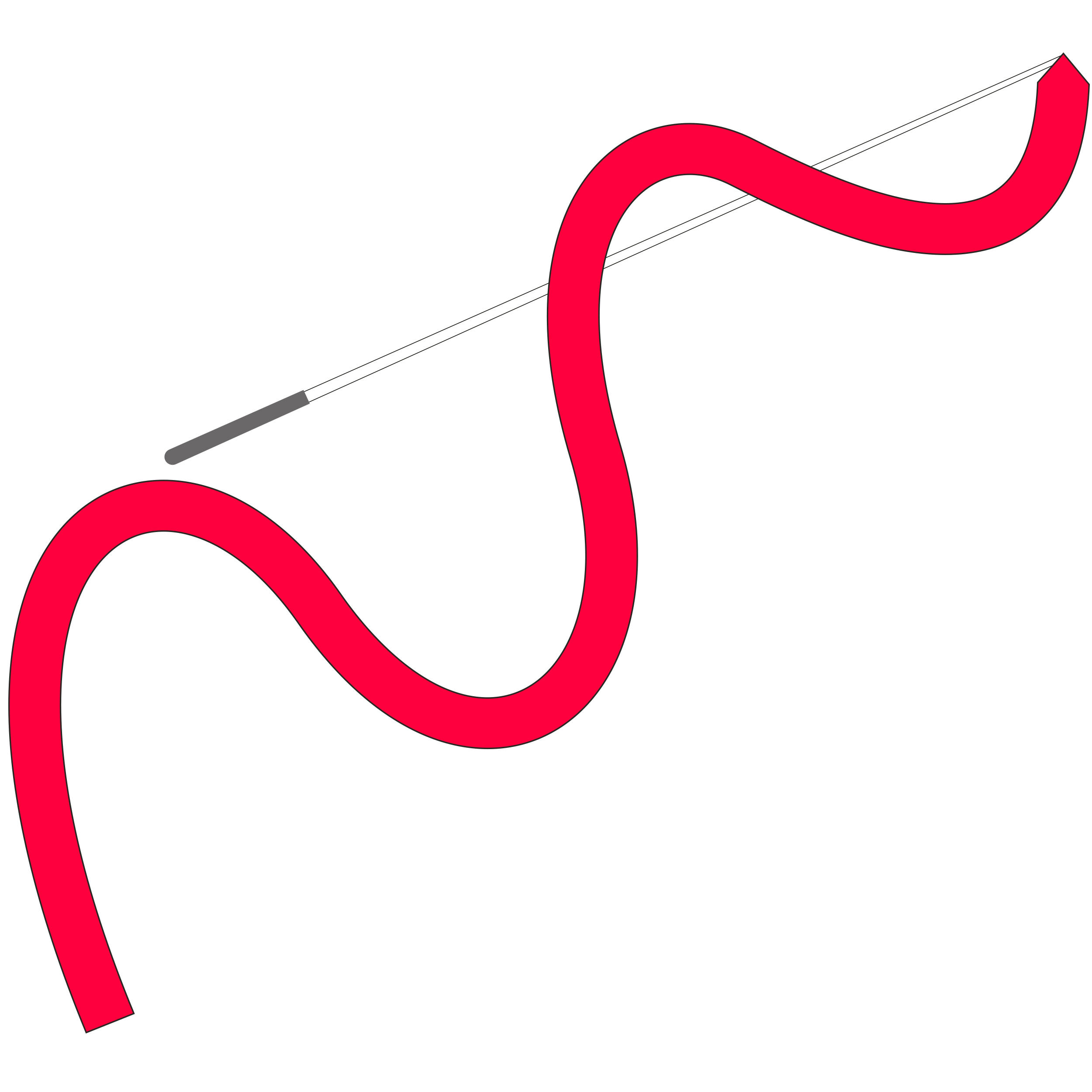 Cinta Gimnasia Rítmica (GR) Rosa 4 Metros 11/14