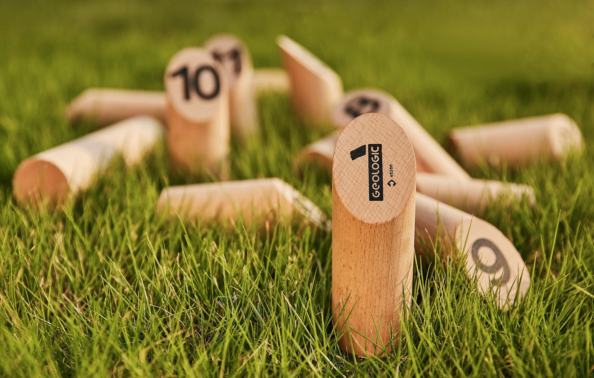 De kegels van het fins kegelspel in het gras