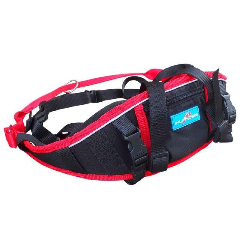 Ceinture Canicross Réfléchissante Pour Chiens Arka Haok By à Prix Carrefour