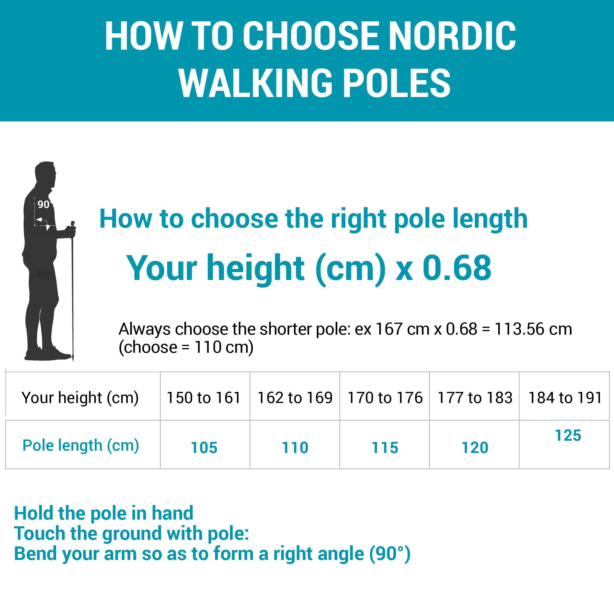 Nordic Walking Stöcke Aluminium - NW P100 schwarz/grau 17/24