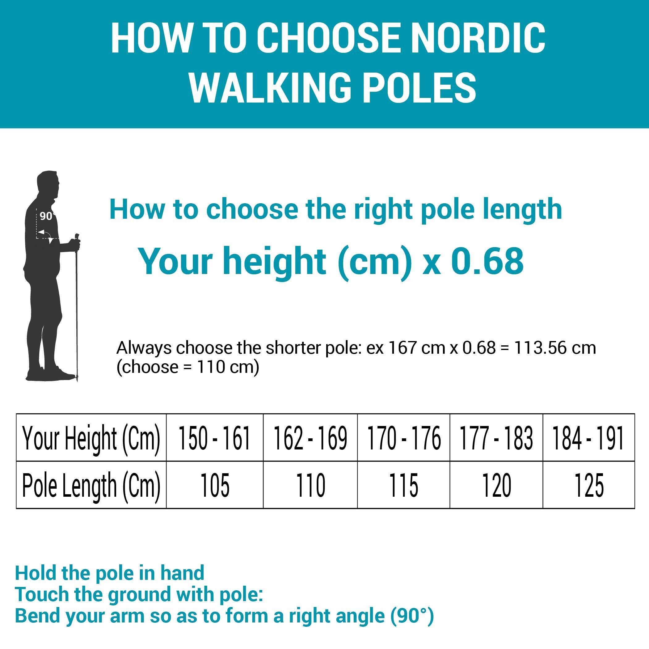 Nordic walking poles PW P100 black / blue -  2