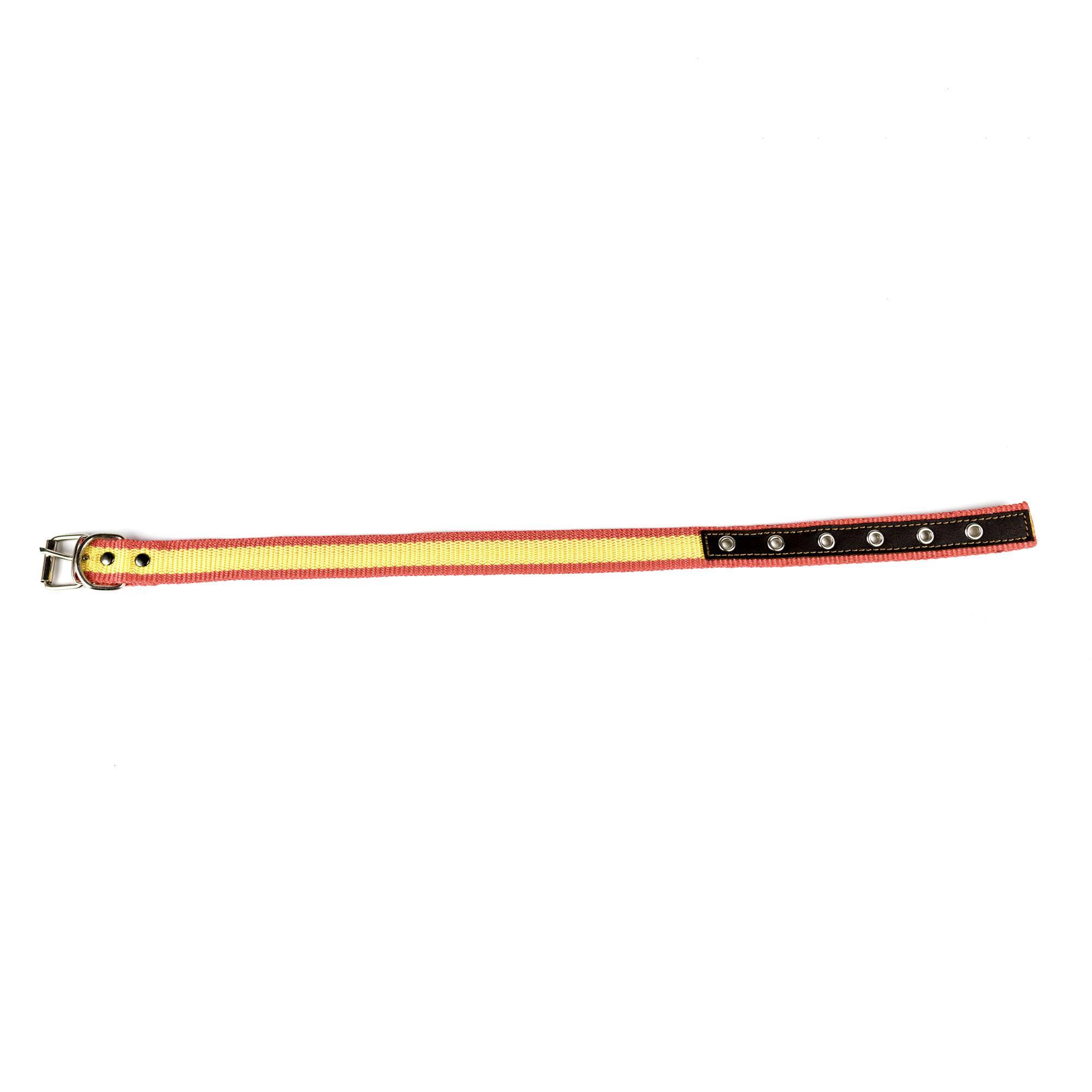 Collar perro caza nylon con refuerzo de cuero 1/1