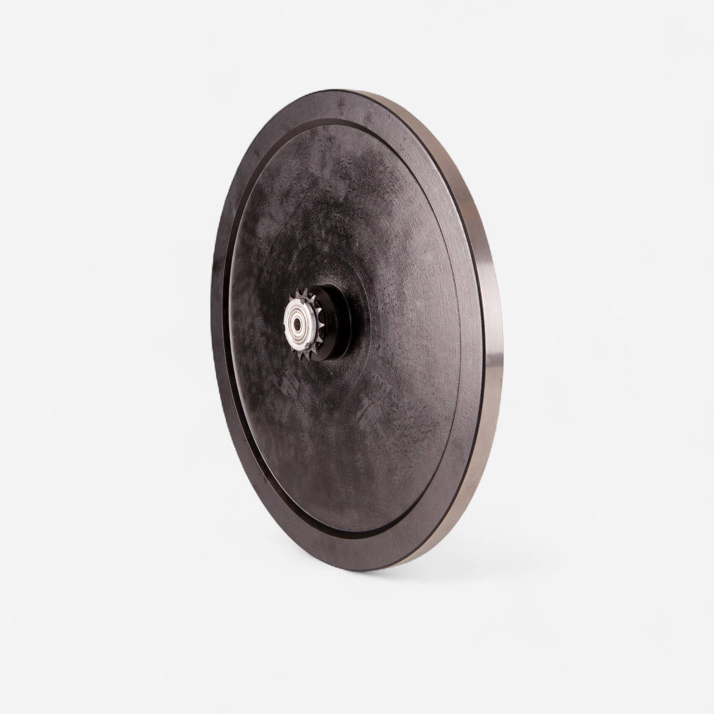 Flywheel Biking100 -  1