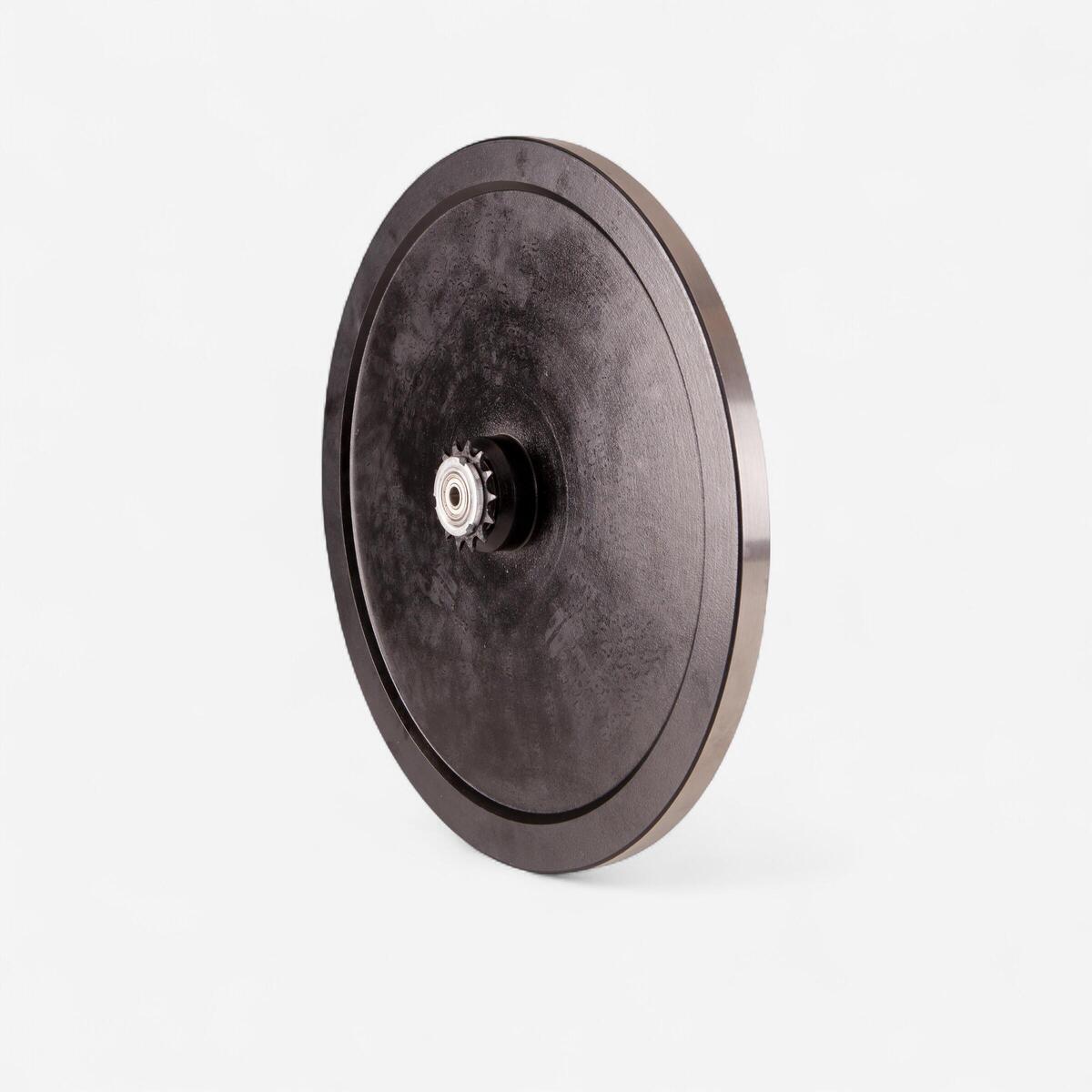 Roue d'inertie Biking100