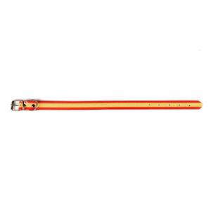 Collar Perro Biotane Rodatex Bandera España