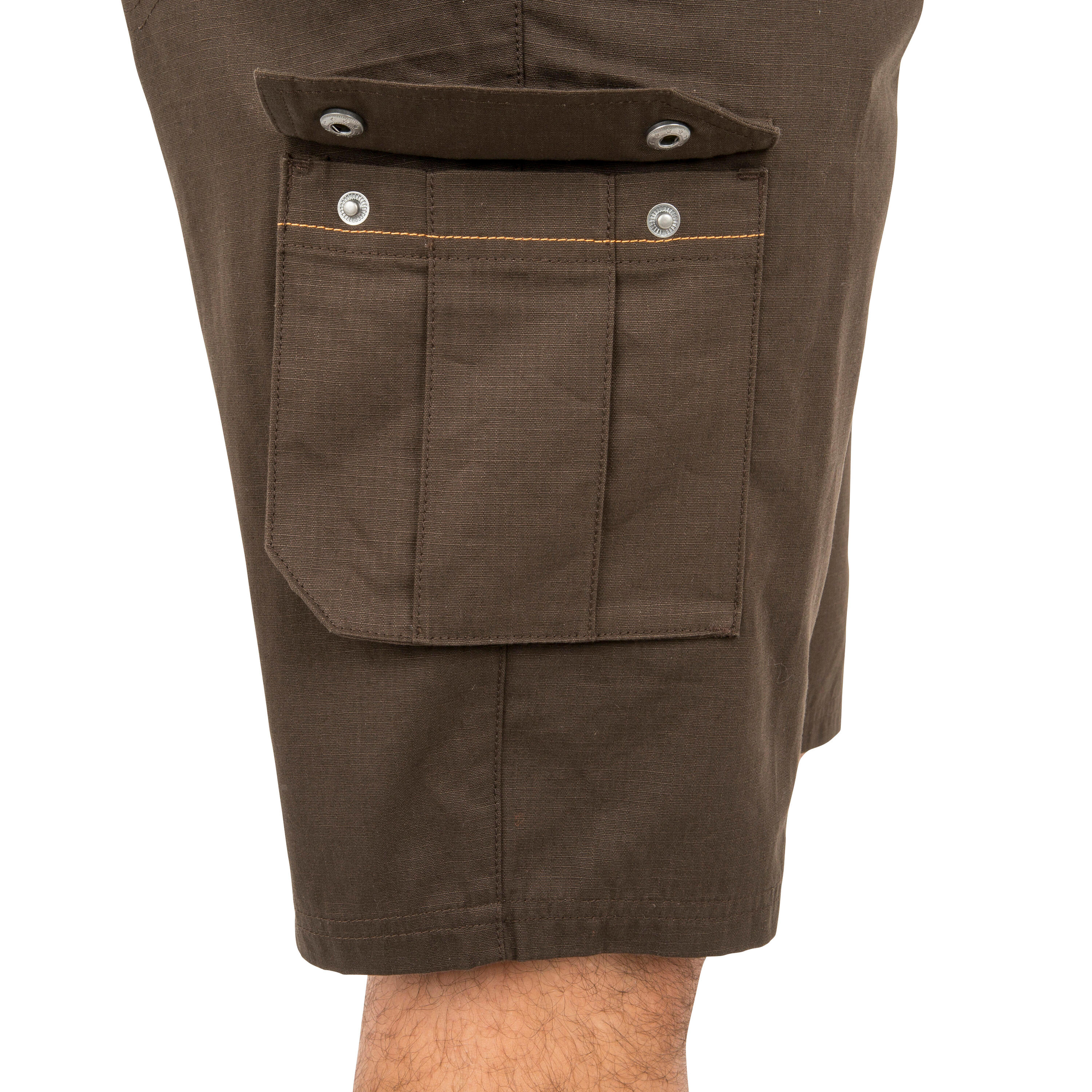 BERMUDA CARGO 500 BRUIN 16/21