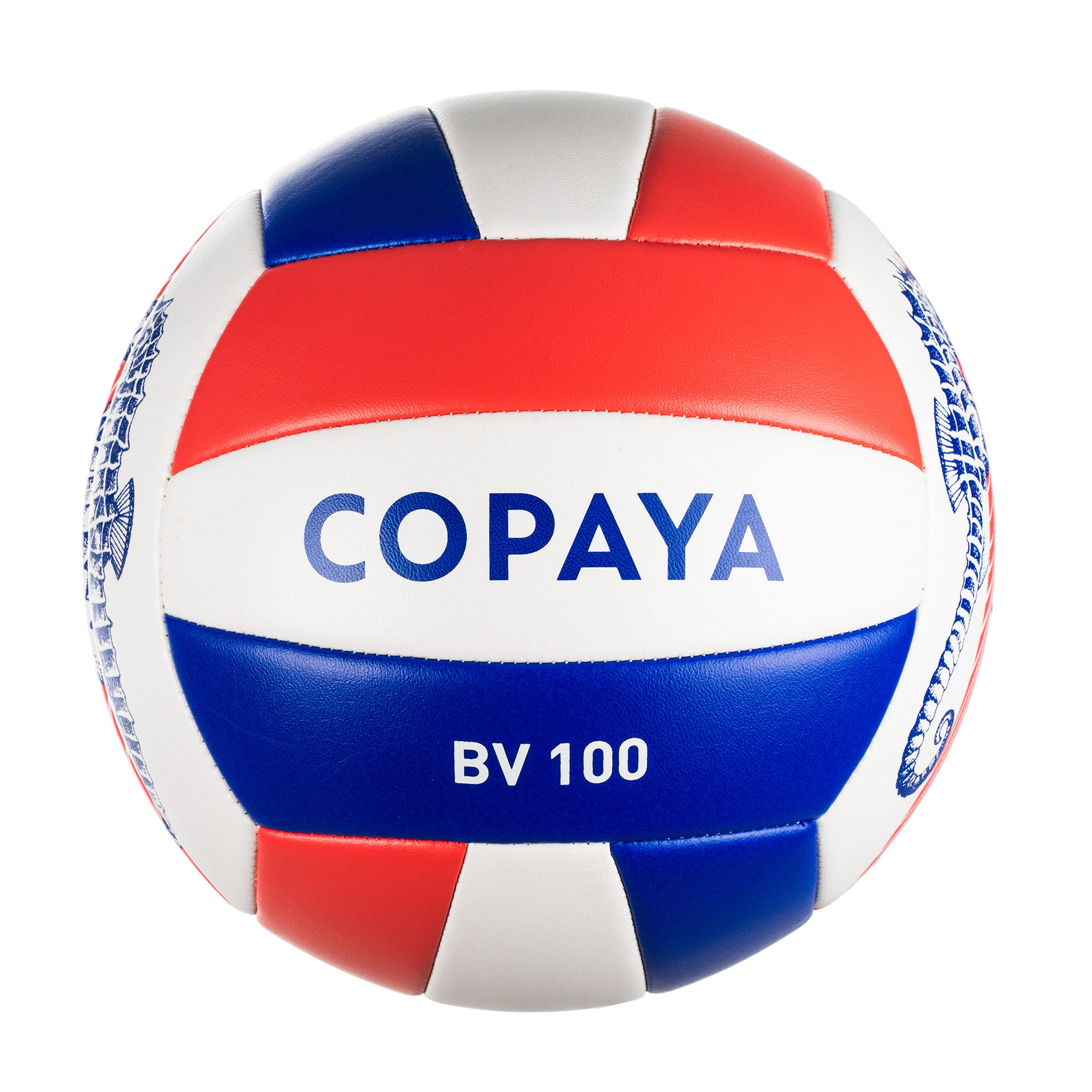 copaya volleyball