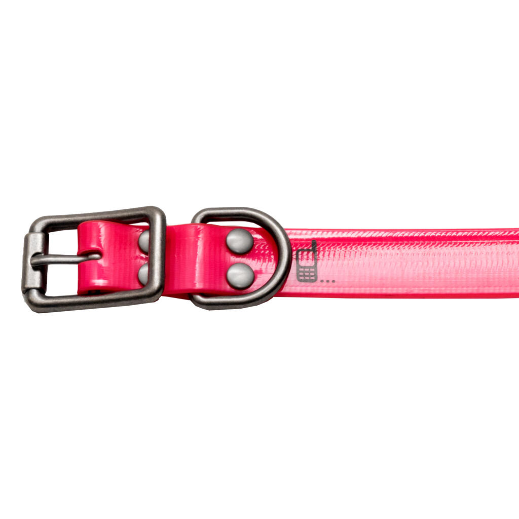 Collier chien Rose fluo 500