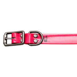 Dog collar neon pink 500