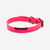 Collier chien Rose fluo 500