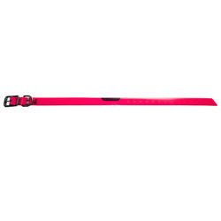 Collare cane arancione fluo500 SOLOGNAC