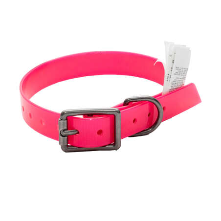 Collier chien Rose fluo 500