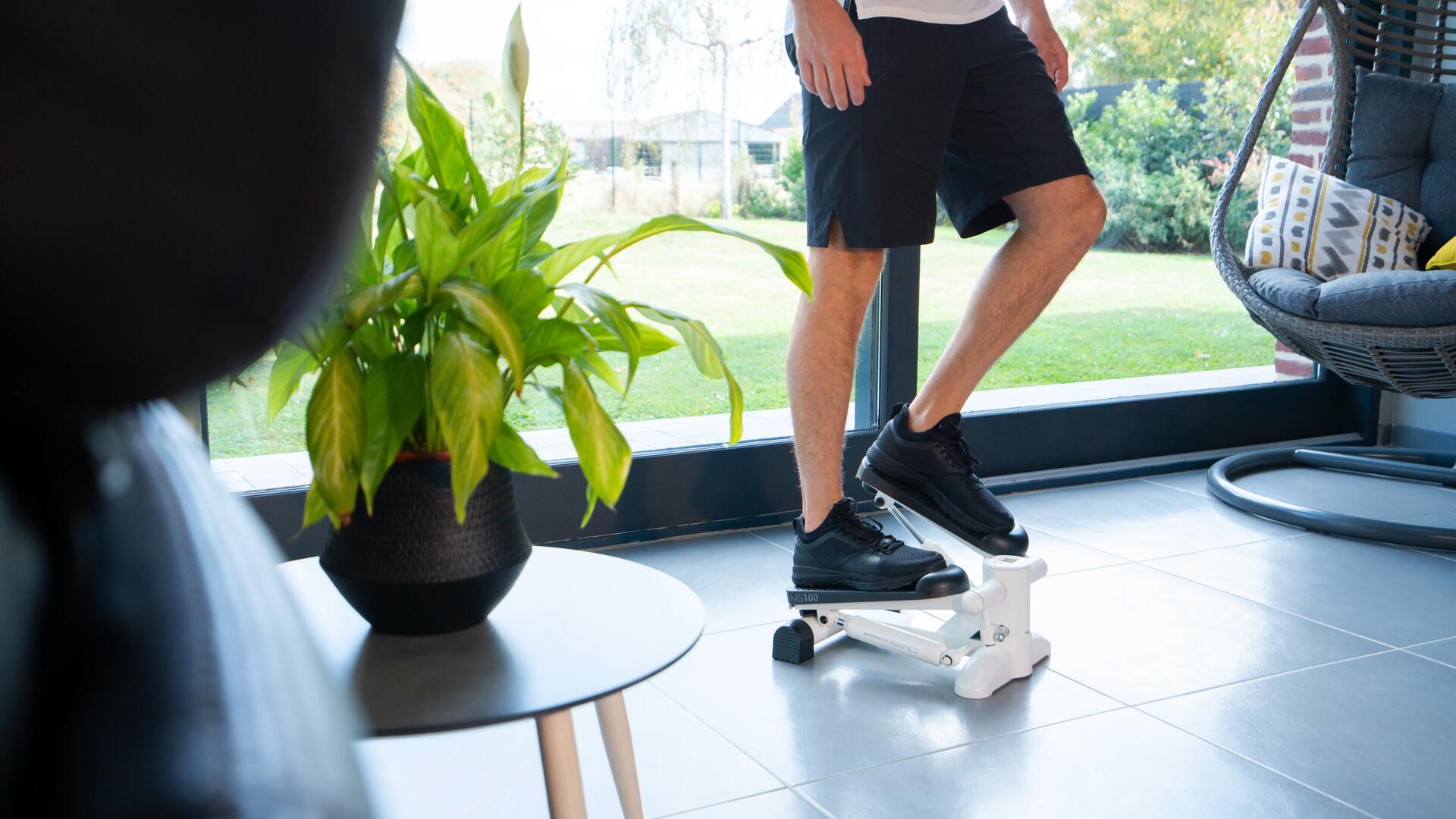 STEPPER MS 100