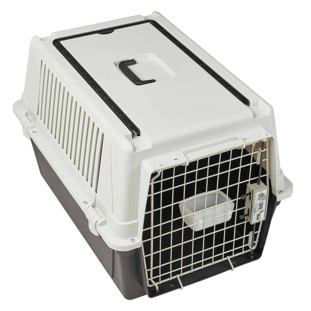 Feste Hundetransportbox für einen Hund Größe L 81 × 55,5 × 58 cm – IATA-Norm