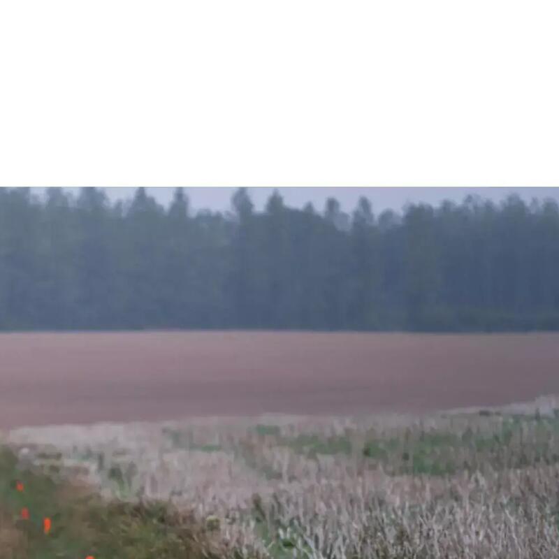 Fidèle au poste pour l'ouverture au sanglier ?