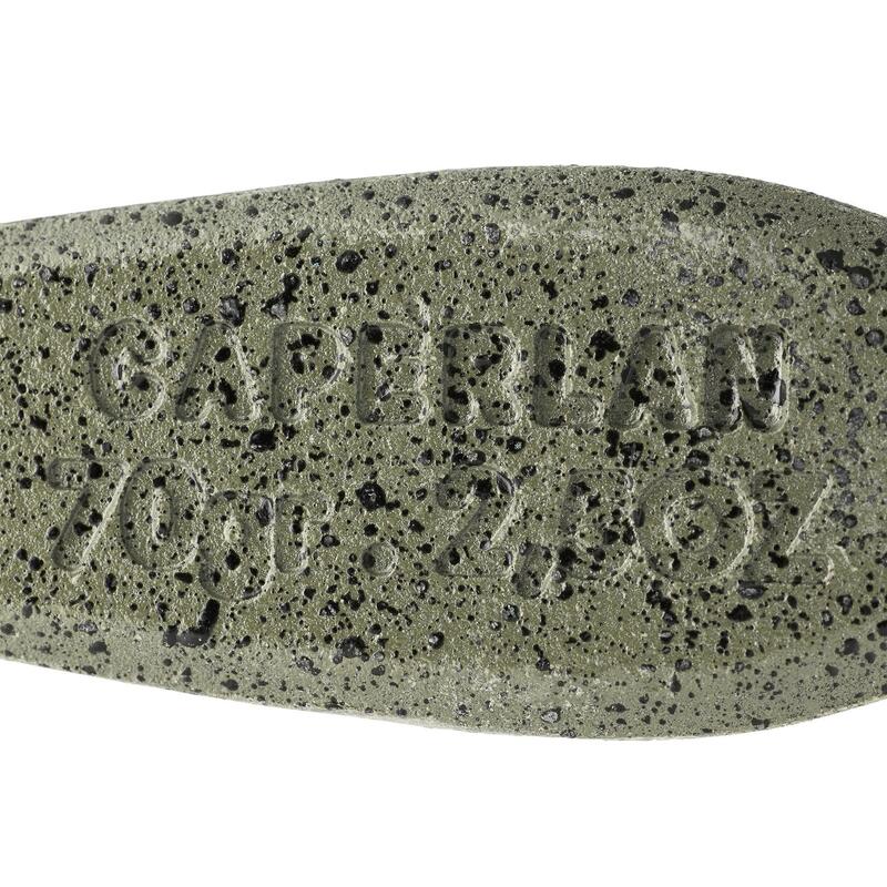 Karpfenblei Trilobe 70 g (×2)