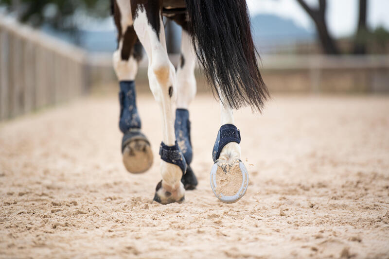 Hoe verzorg je de benen van je paard?
