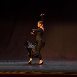 Flamenco Yebra Ensayo Negro | Decathlon