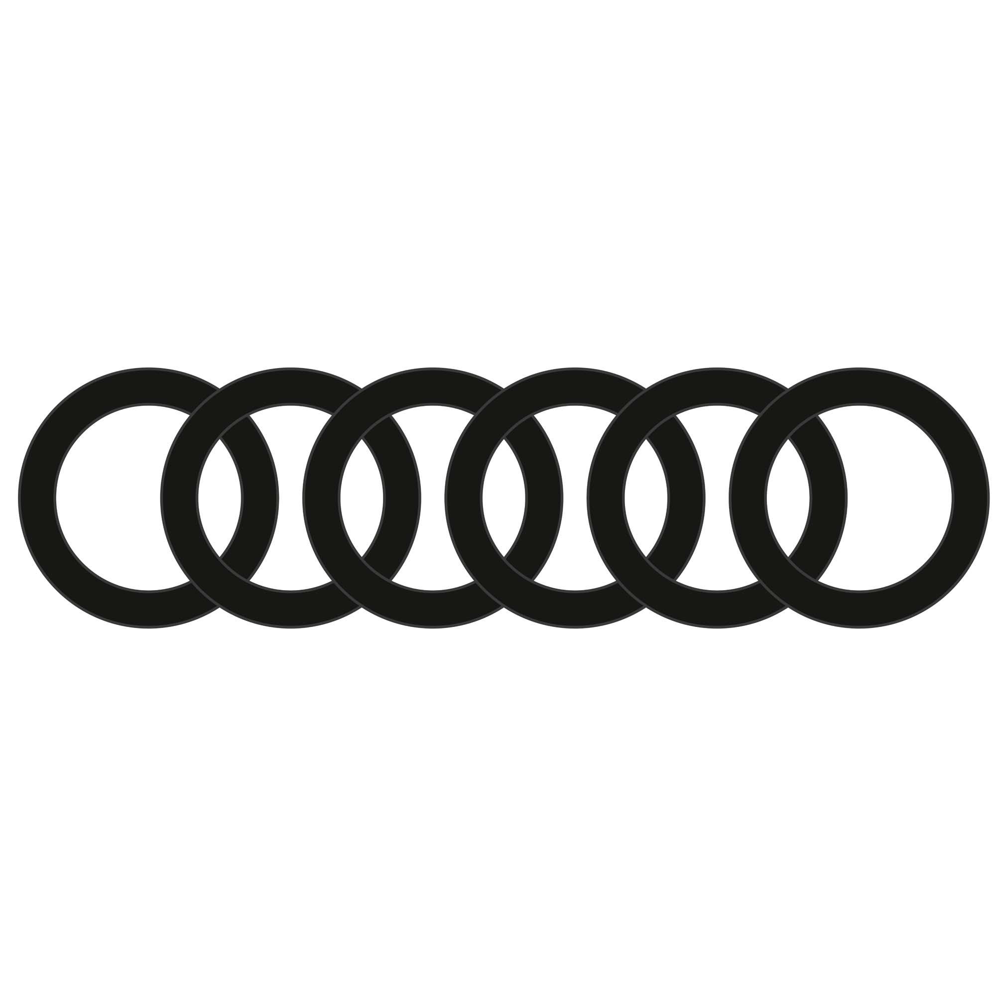 Hair Elastic Bands x6, Black - DOMYOS