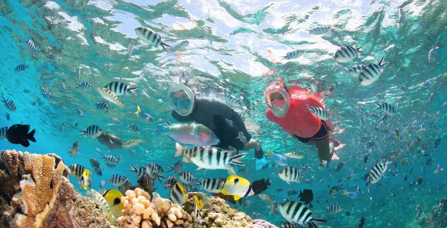 snorkelling