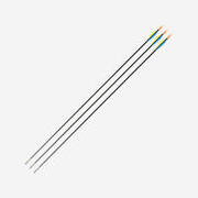 Archery Carbon Arrows Discovery 300 (Pack of 3)