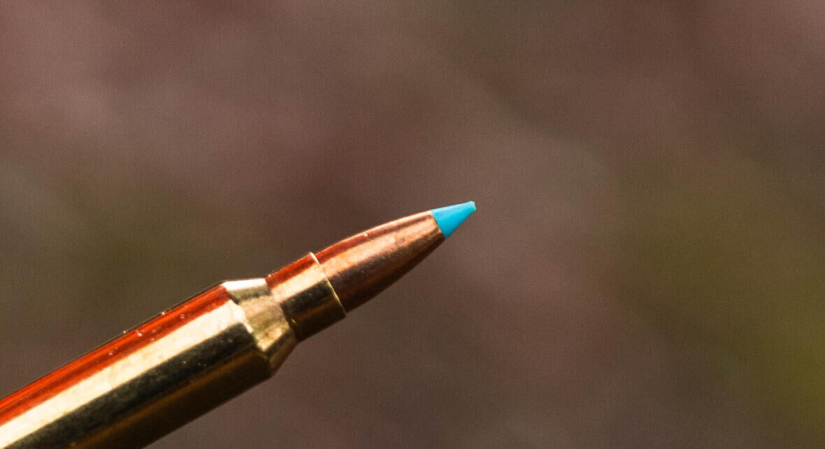 Lead-free: the future of our hunting bullets