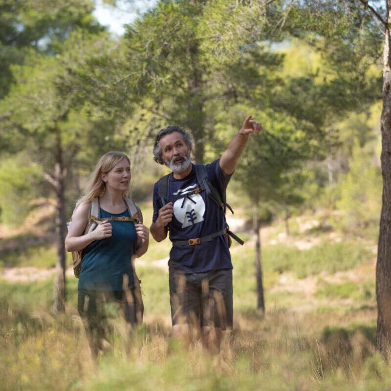 3 reasons for “forest bathing” this weekend