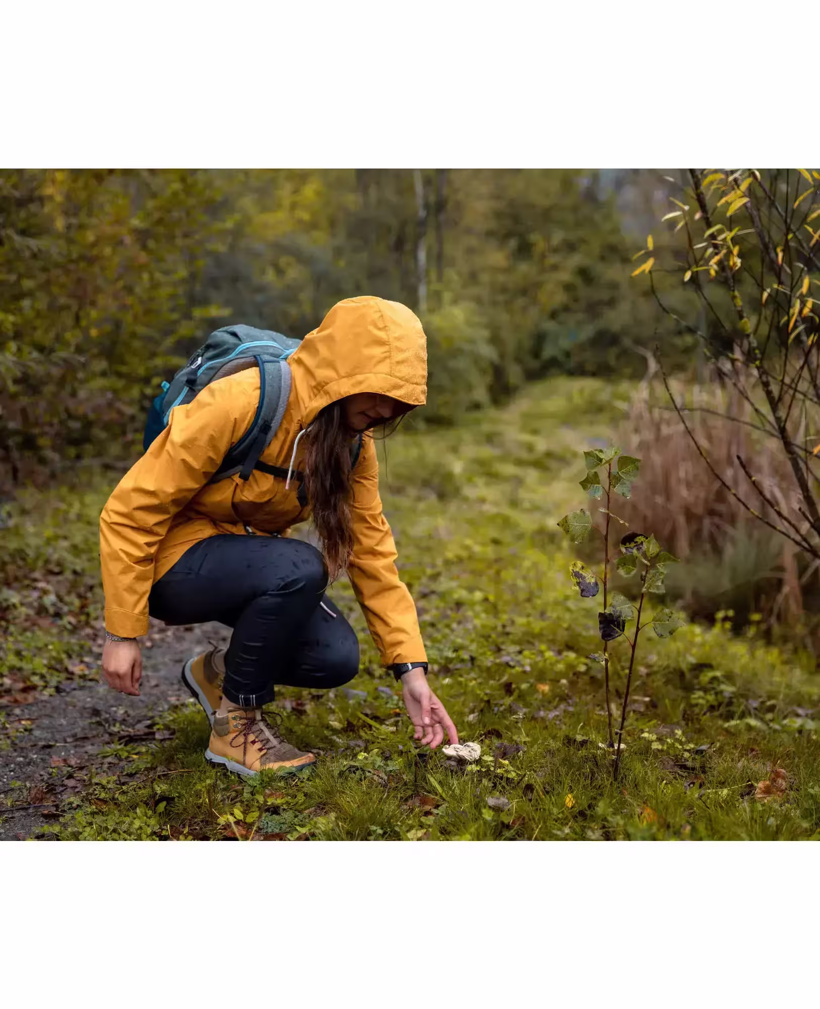 Photo pendant une randonnée sur des sentiers en forêt © Photo pendant une randonnée sur des sentiers en forêt