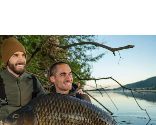 Pêche de la carpe en hiver : les grandes règles à connaître pour réussir