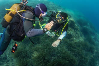 Como comunicar debaixo de água durante o mergulho? 