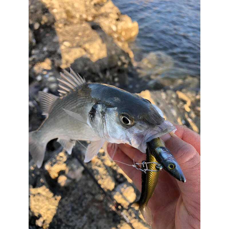 Tête plombée darting TP EELO 110 12gr Pêche aux leurres en mer