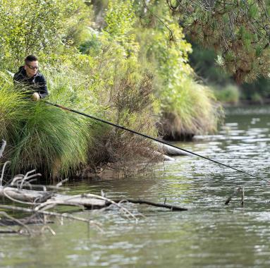 pêche au coup en automne