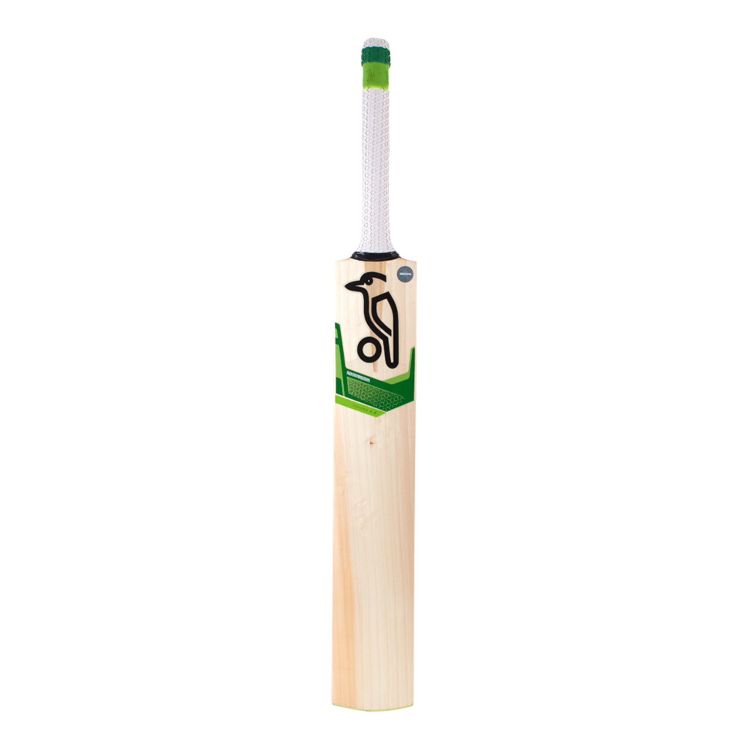 junior cricket equipment