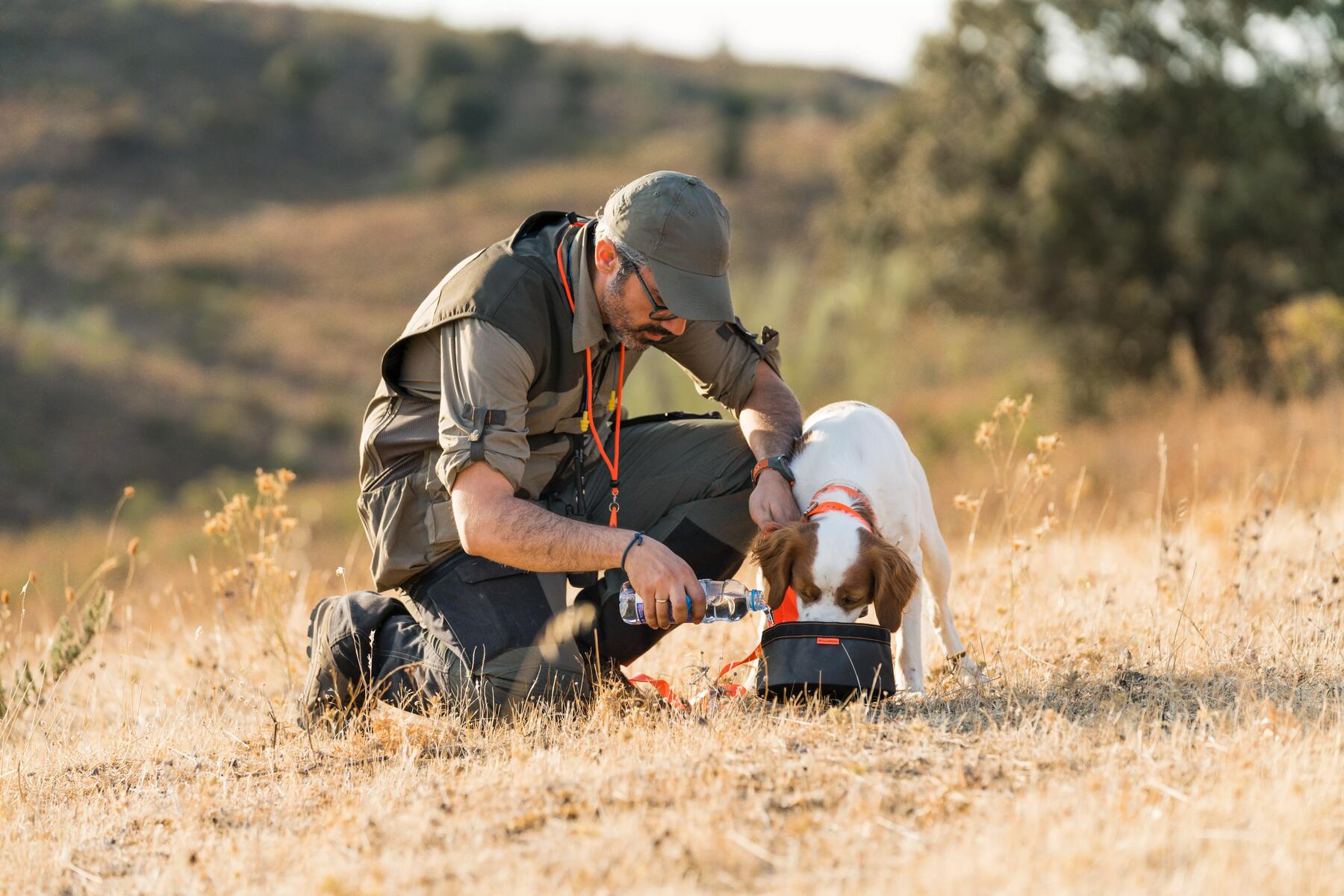 preparer votre chien pour la saison de chasse