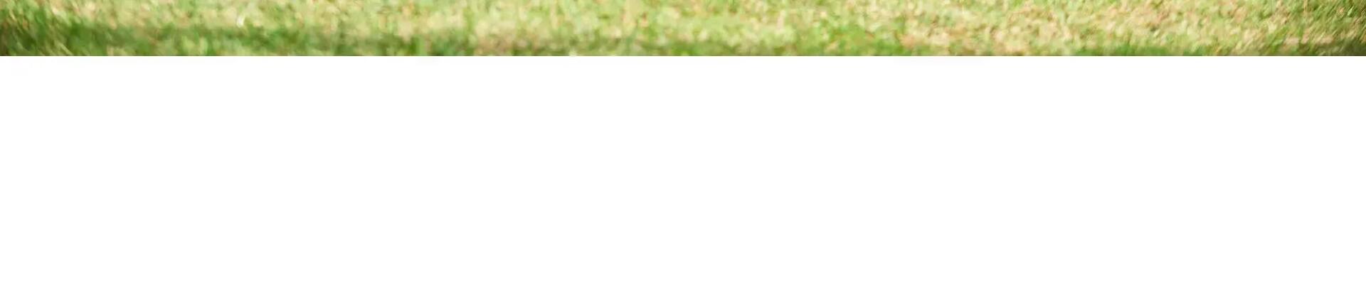 BUTS DE FOOTBALL