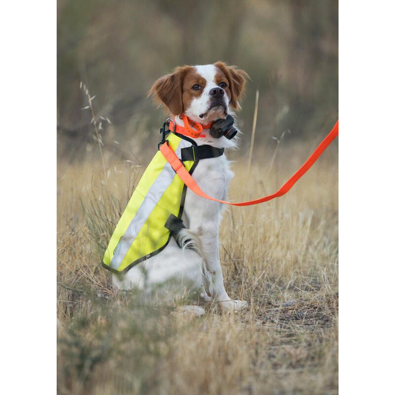 GILET CHIEN CHASSE JAUNE 100