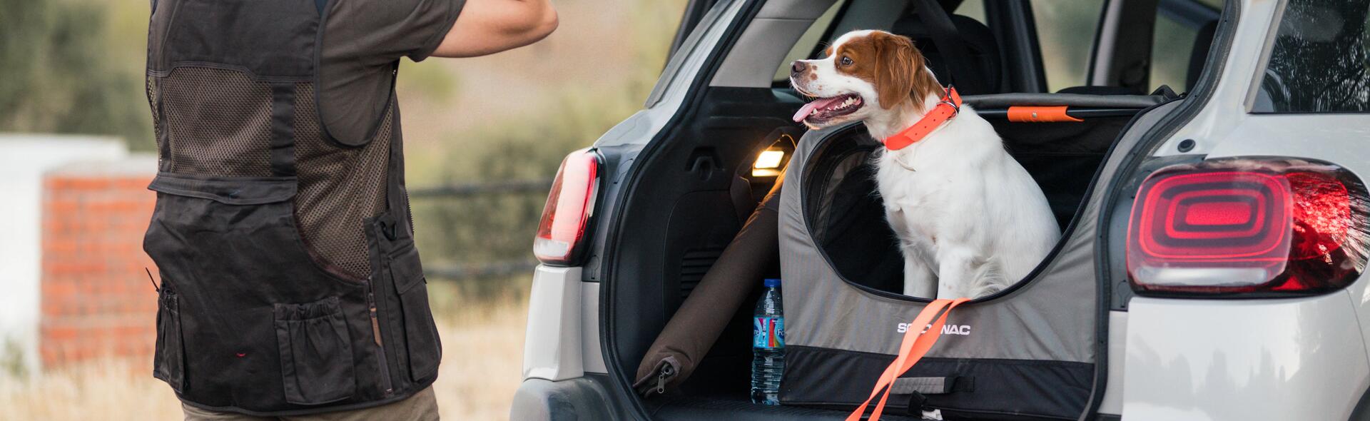 Transporter son chien de chasse en toute sécurité