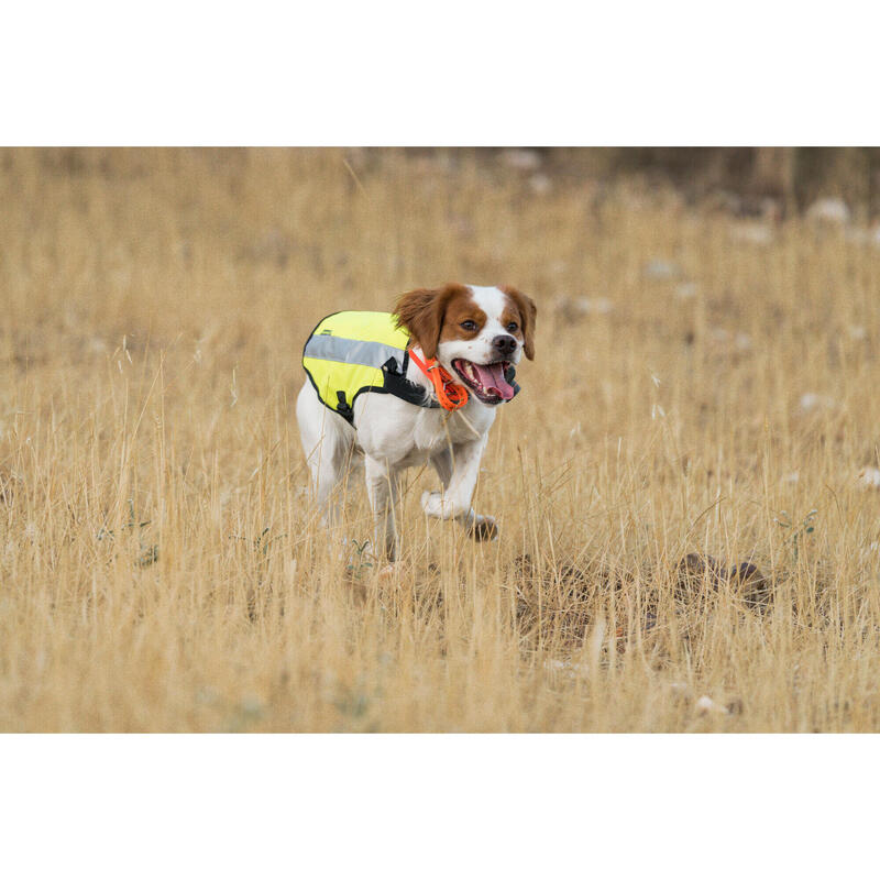 COLETE PARA CÃO DE CAÇA 100 AMARELO