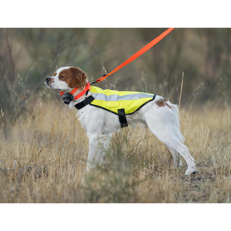 GILET CHIEN CHASSE JAUNE 100