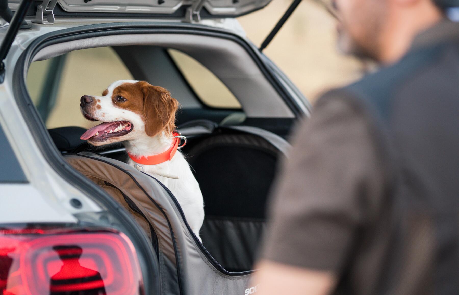 Transporter son chien de chasse en toute sécurité